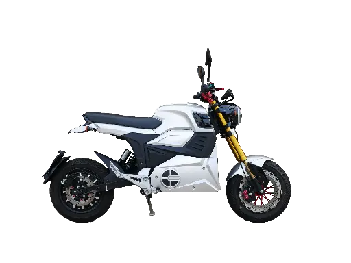 N2